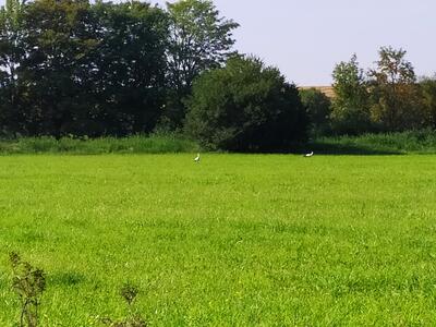 20250815 JC IMG 20250815 092238 1